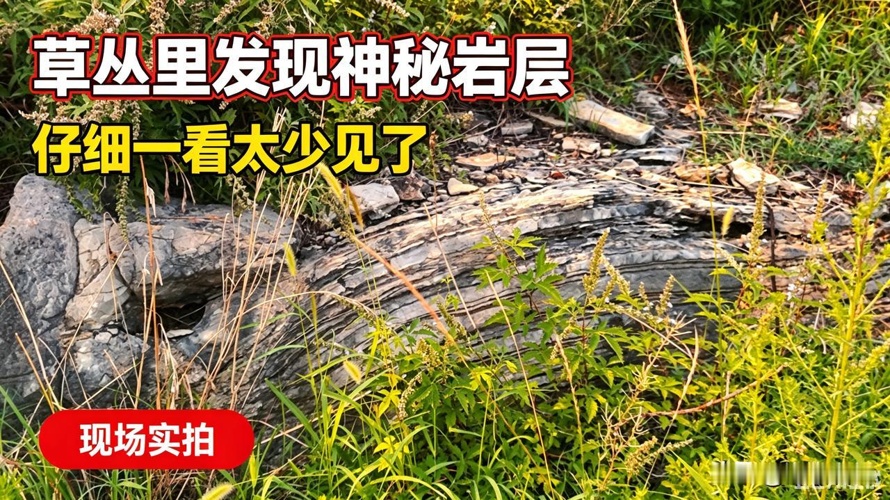 山东泗水老家的石头，藏着几万年的秘密！
 
在咱泗水的田埂边、河沟旁，随手捡块石