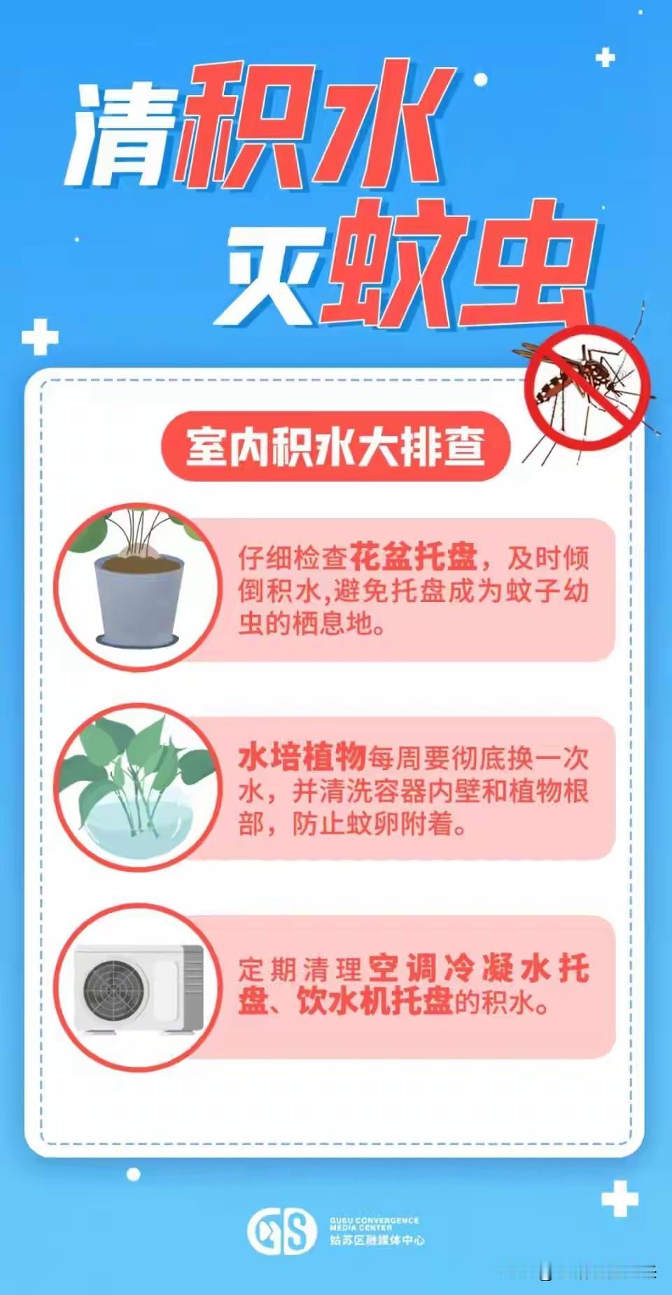 明明倒了积水，蚊子反而更凶了？我们都漏掉了最关键一步

你以为把花盆托盘里那点水