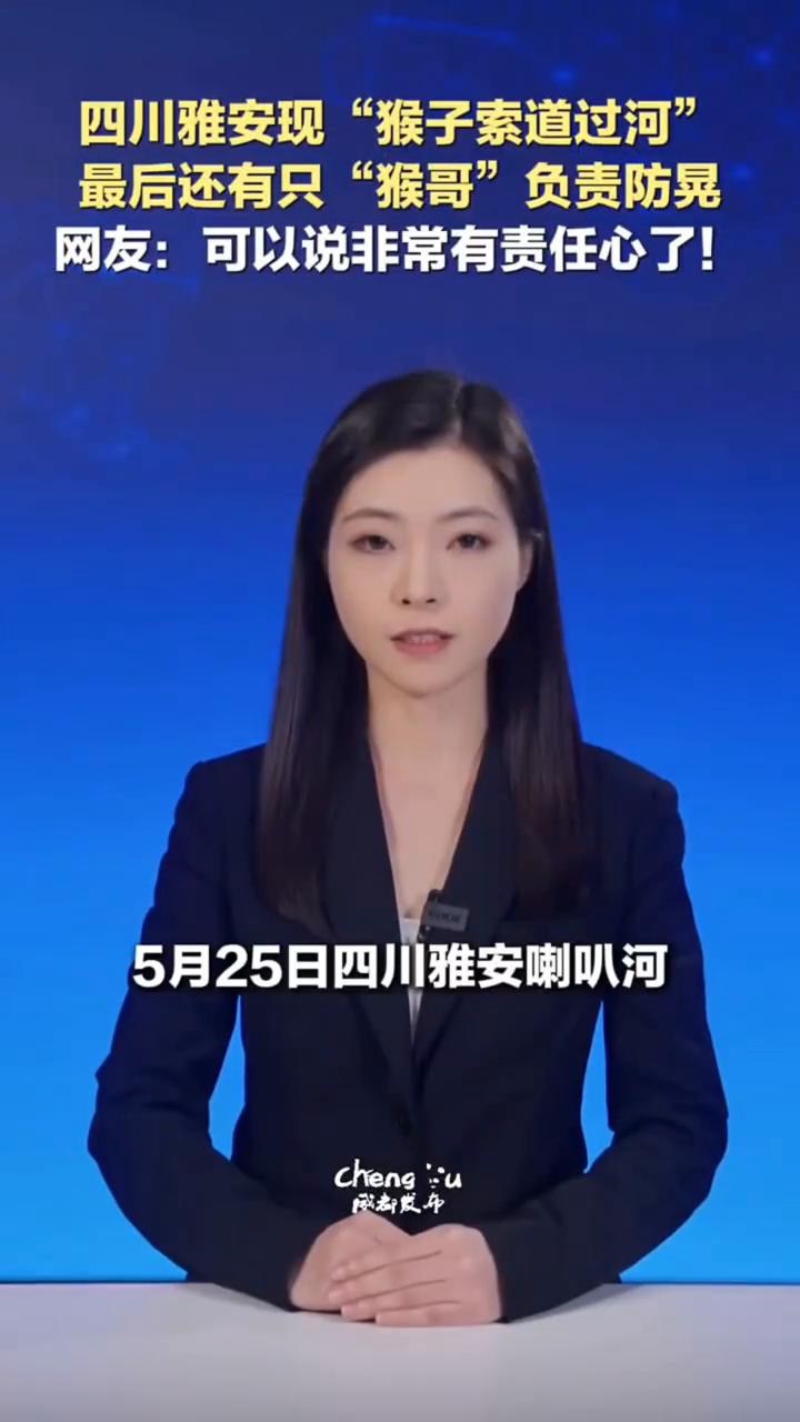 四川雅安现"猴子索道过河"，最后还有只"猴哥"负责防晃。网友：可以说非常有责任心