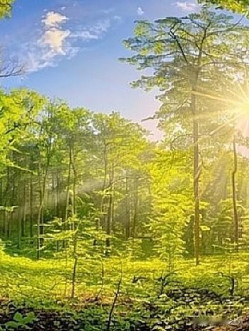 懂风 水的人，
都不愿意住大房间！

我们深山里的房子盖好之后，唯 一让我纠结的