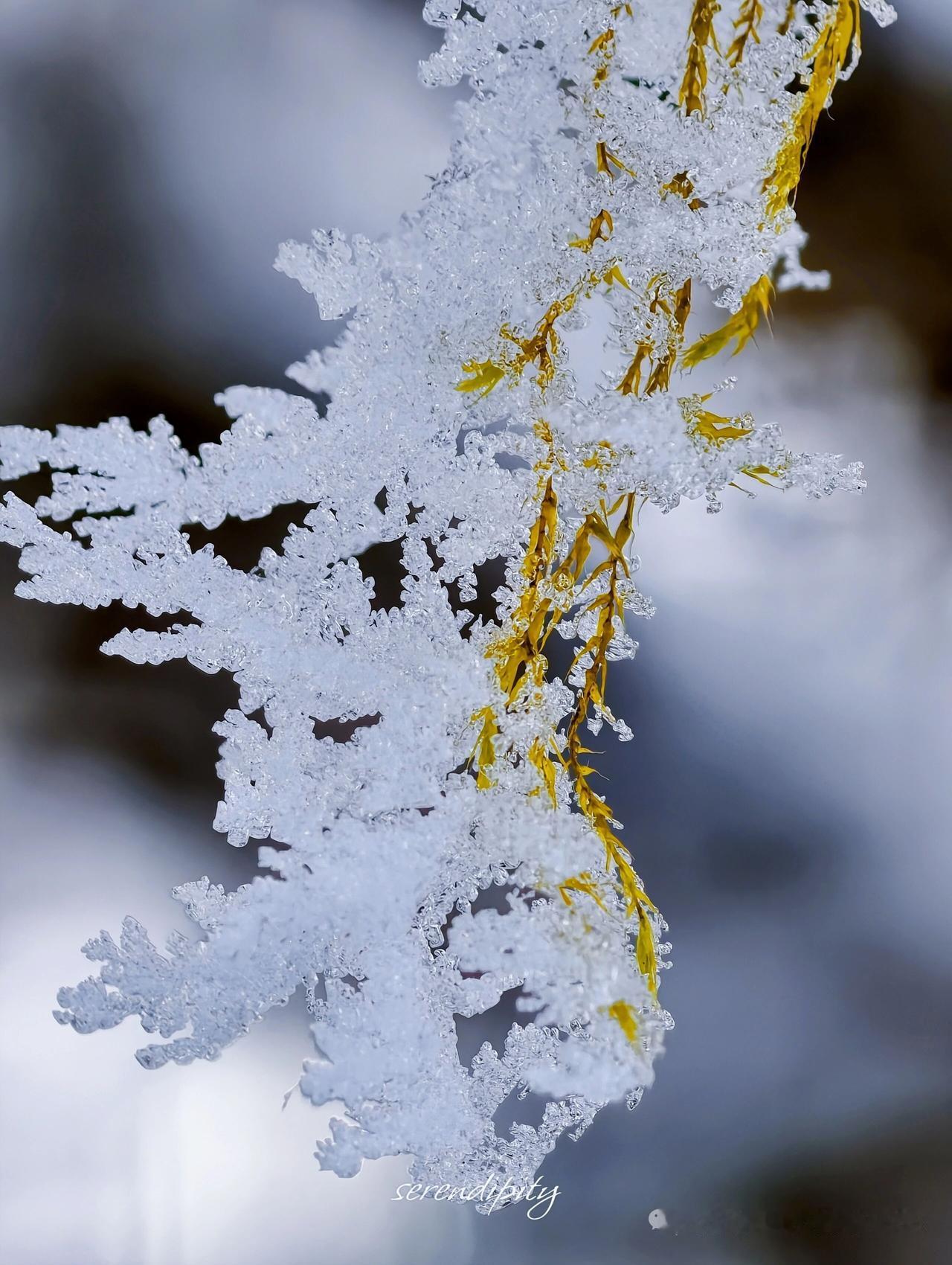 中年人面临着工资低开销大这一沉重压力，犹如置身无形的枷锁之中。

工资低，是许多