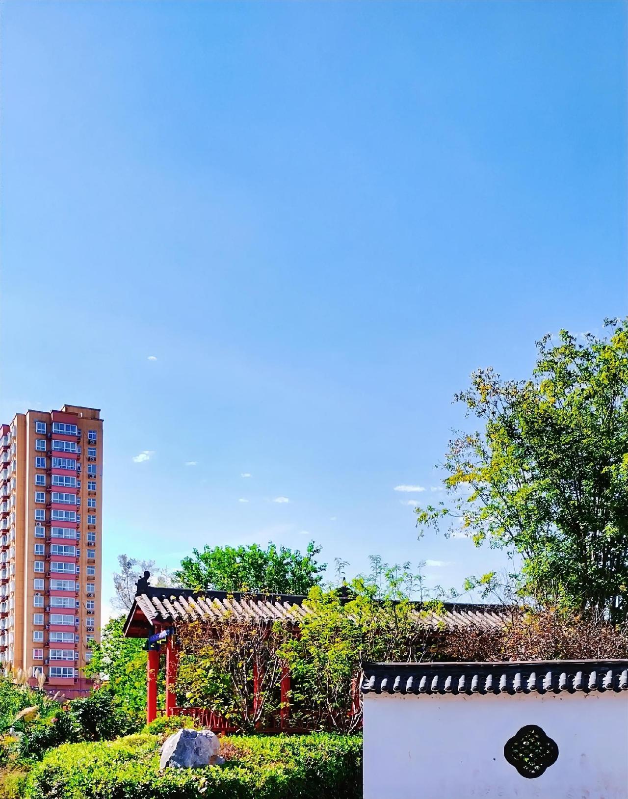 今天是10月24日星期六，在家没事就出去散步游玩，刚走到沈丘槐店回族镇兆丰大道南