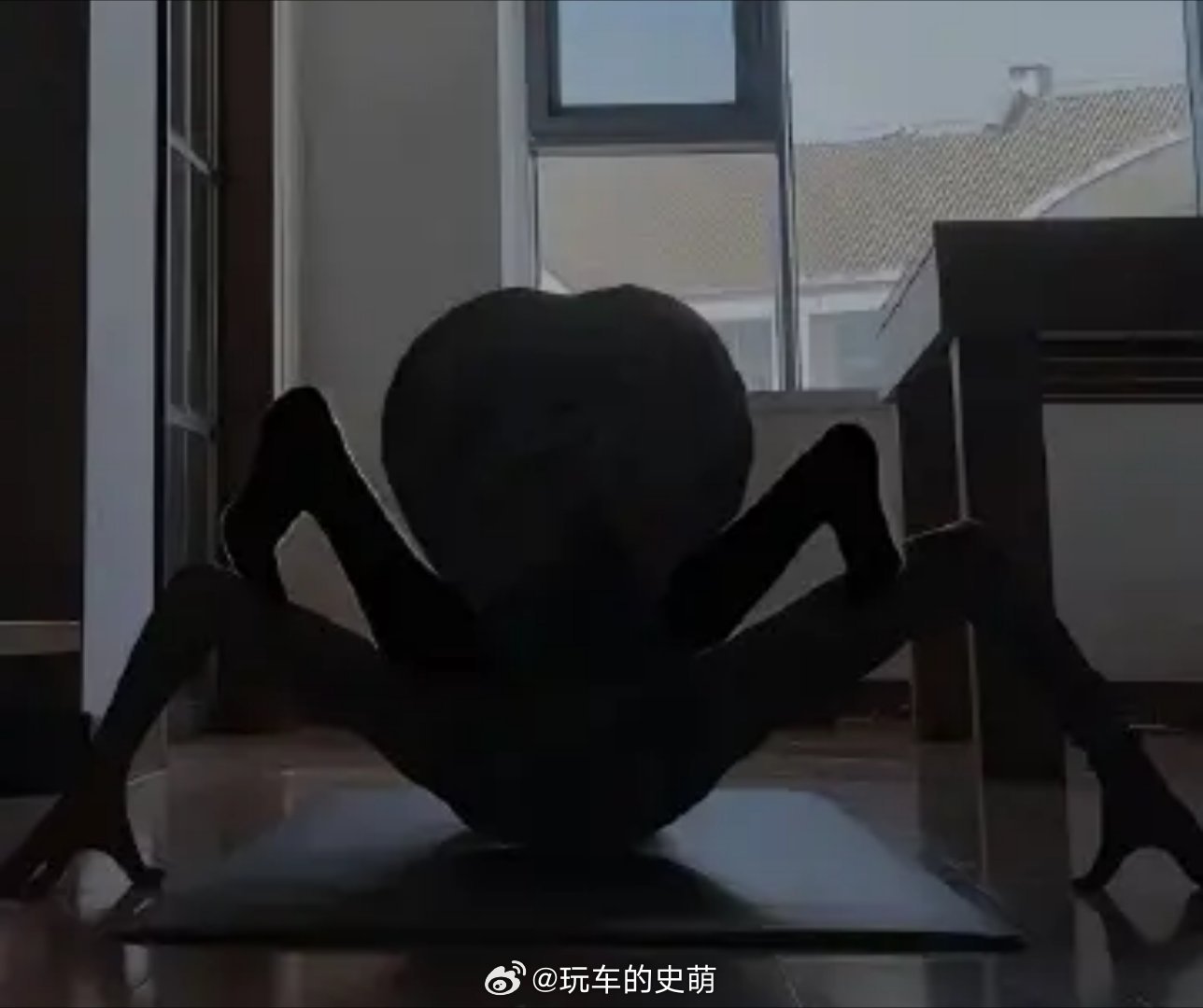 年龄大了之后，没想到对什么昆虫小动物之类的开始感兴趣了...你瞧瞧这大蜘蛛  ​