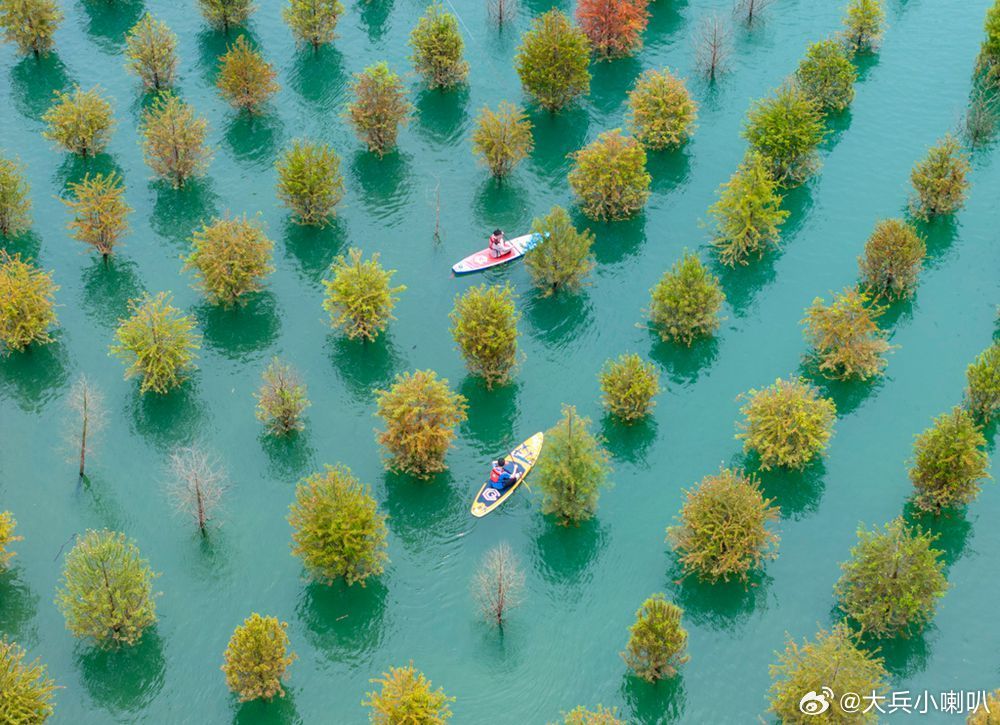 情感社区 【美丽家乡 浙江长兴——杉林浮碧 人游画中】       盛夏的浙江湖