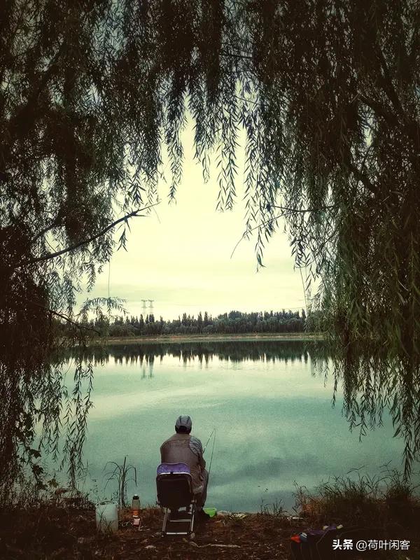 上联:青荷开浅夏;
下联:绿柳钓初秋。
友友请展示下联 友友请出下联 友友请下联