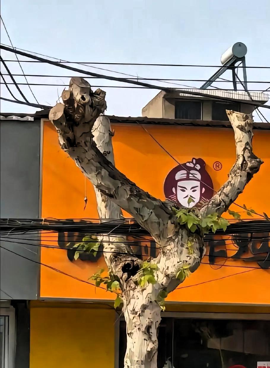 女子怎么也没有想到自己的小店门口，一夜之间就成了一个打卡的网红地点，很多年轻人都