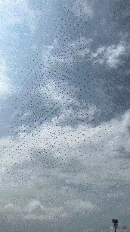 [胡瓜]“白痴还在生产F-35！”11月24日，在社交媒体上，马斯克用一段中国的