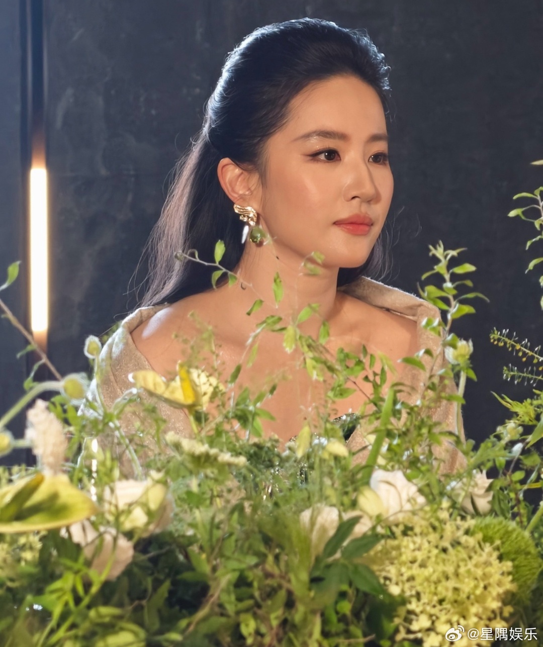刘亦菲都发腮成什么样了。。。 