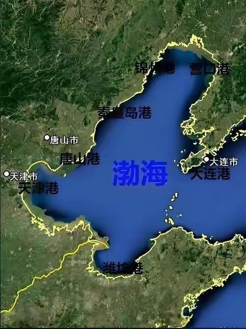 潍坊港作为山东省2008年以后，才重点开发的新港口。近年来发展迅速，抢了不少龙口