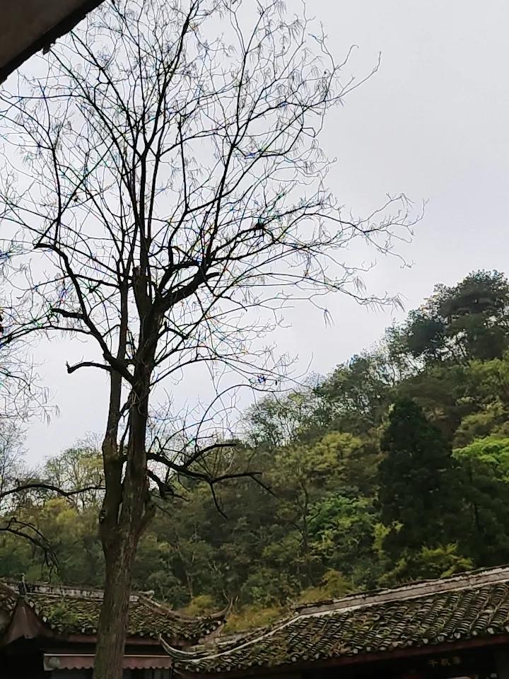 在股市里投资，真的是越急，越容易出错，这个月因为大跌，着急买了几只股票，又看到反