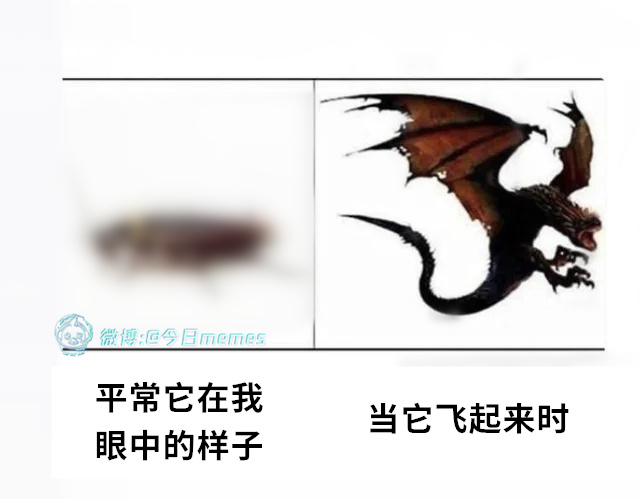 rider kick（9gag）今日meme[超话]今日memes ​​​