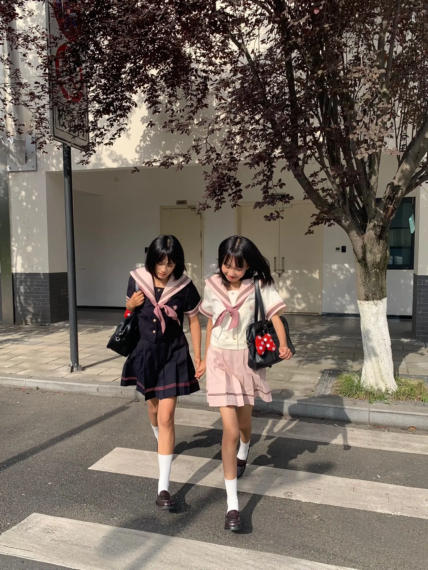 与你共振过的夏天˶ˊᜊˋ˶՞。