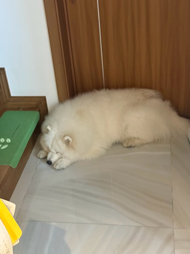 打了一晚上臭屁！把我臭得爬起来开窗子睡觉，以为要拉肚子呢结果七点半八点半各下去一