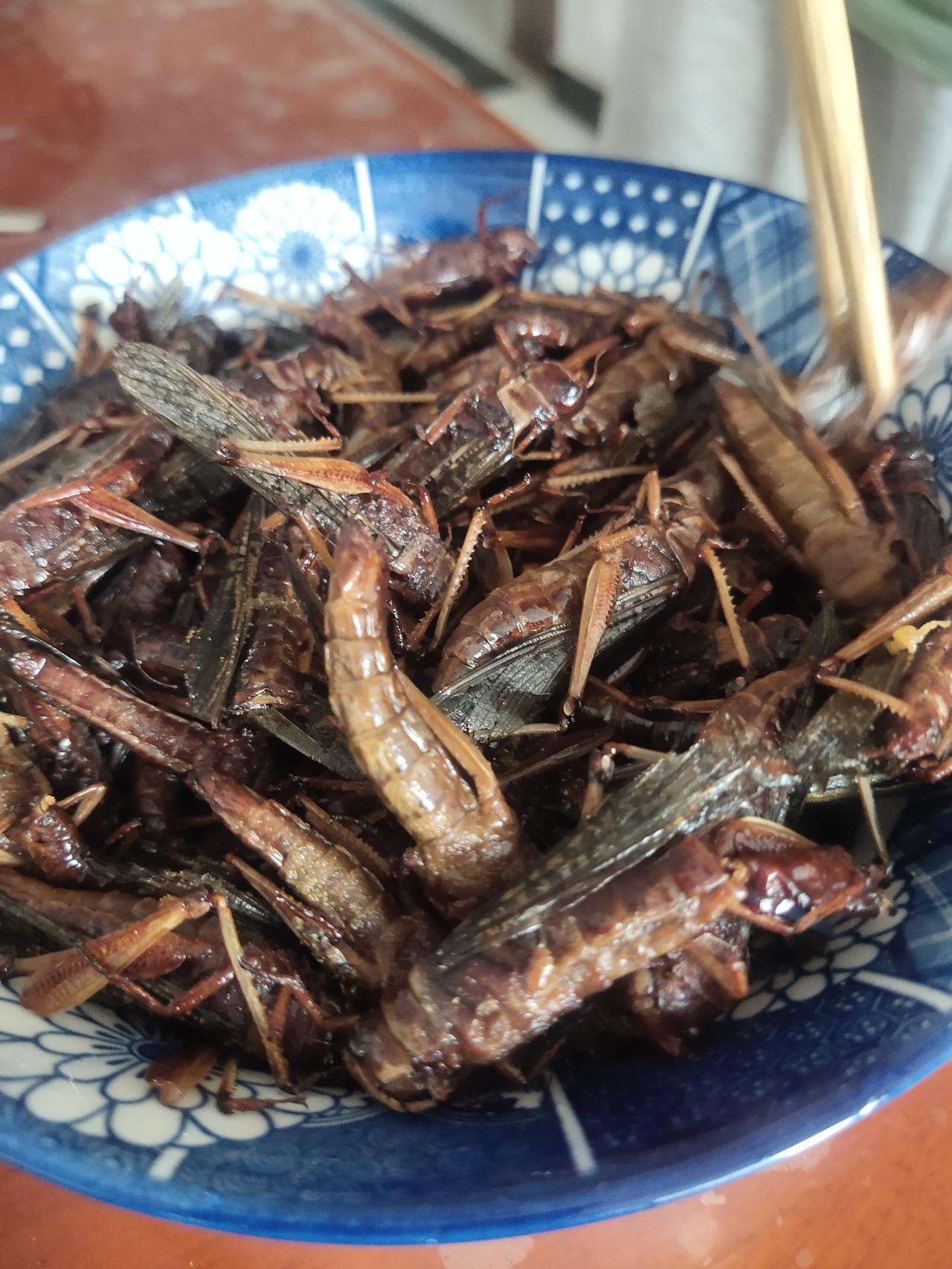 今晚品尝了些野味，有一盘油炸蚂蚱，还有一盘凉拌养心菜。老公说油炸蚂蚱富含高蛋白，