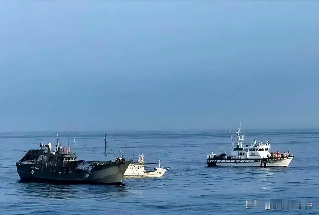 10月20日，大陆海警船与台湾舰船再度对峙，这次大陆海警直接硬核喊话：“中华民国