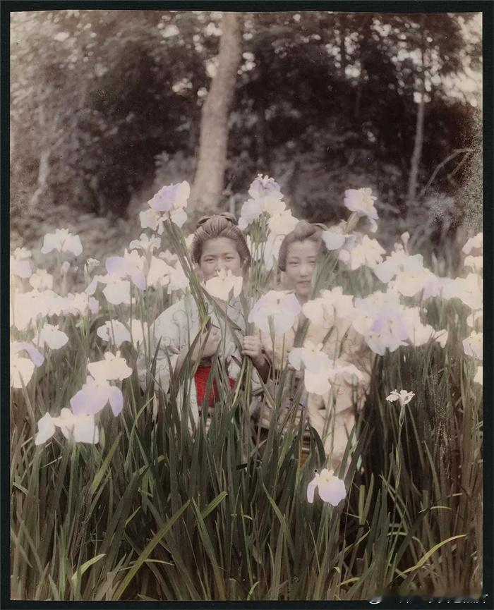 明治时代的彩色日本 