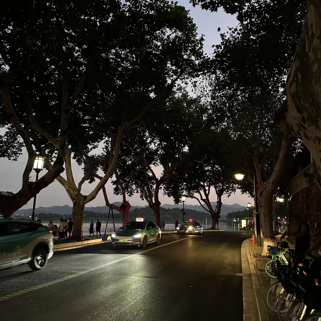 这个颜色的路灯，怎么那么美啊
