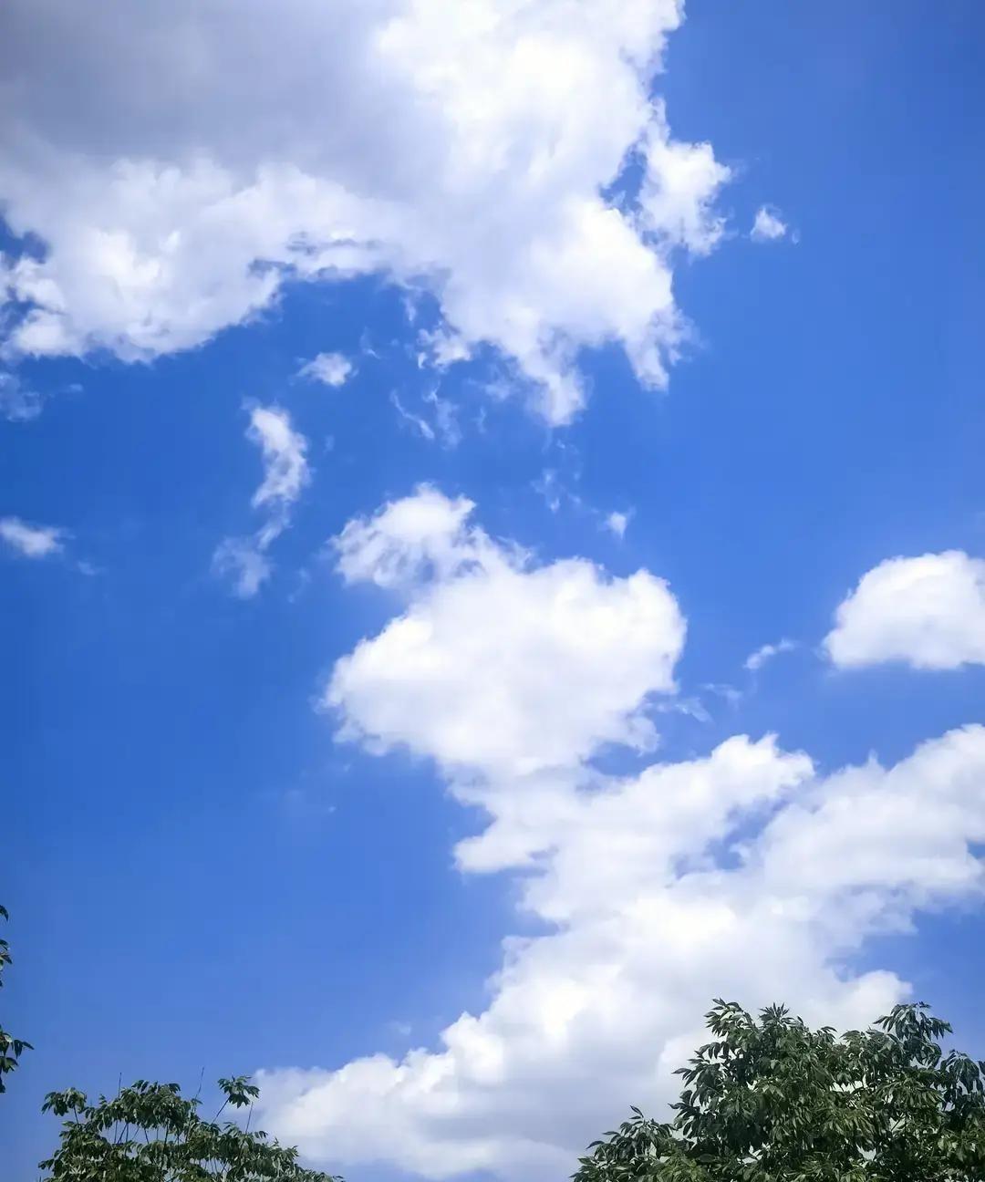 下午接孙子放学时，他忽然问我，今天那一下震耳欲聋的响声，是不是出了什么大事。
