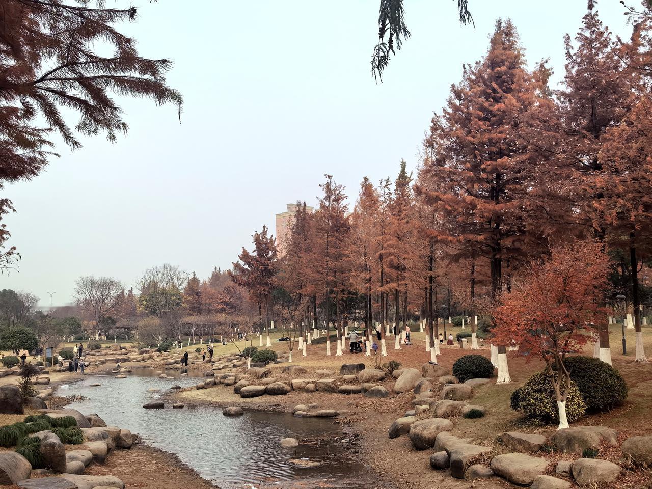 五绝·冬至夜
侧伴鼾声长，
檐灯漏影凉。
晓来窗映白，
叶落满庭黄。