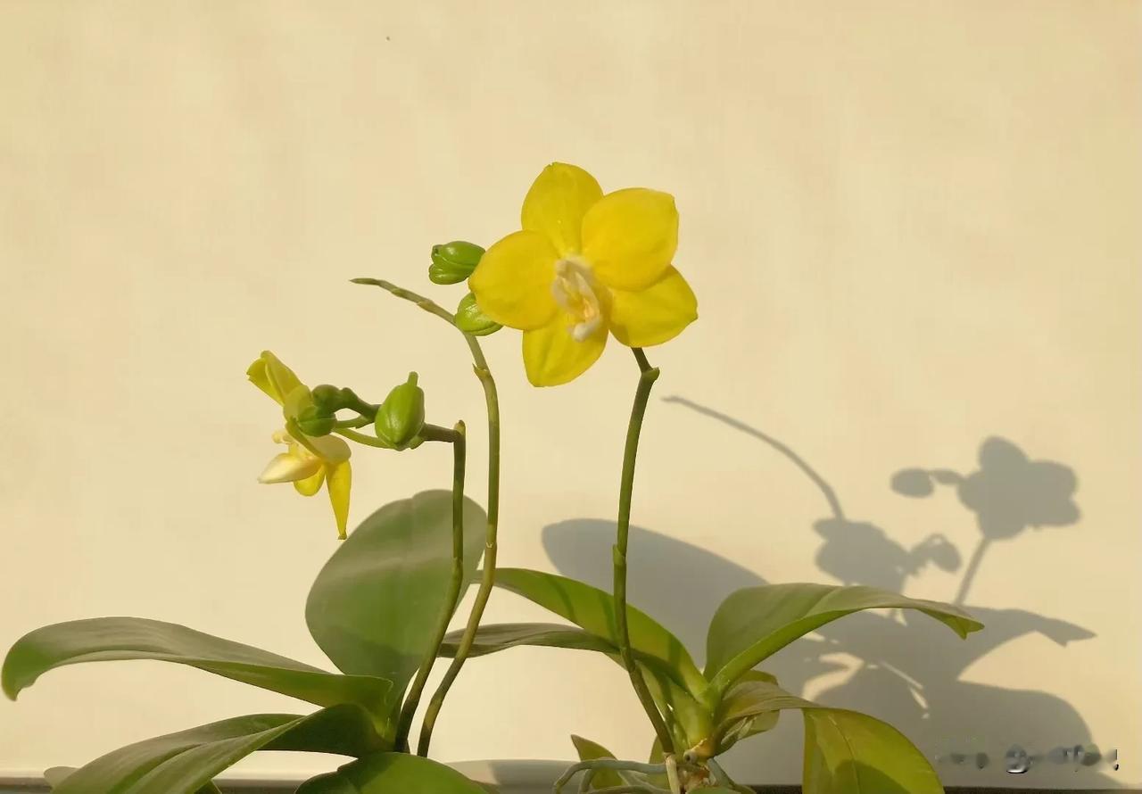 2026年的我，别怂，别懒，别敷衍日子！
 
去年种草的驾照得拿下，周末别瘫在沙