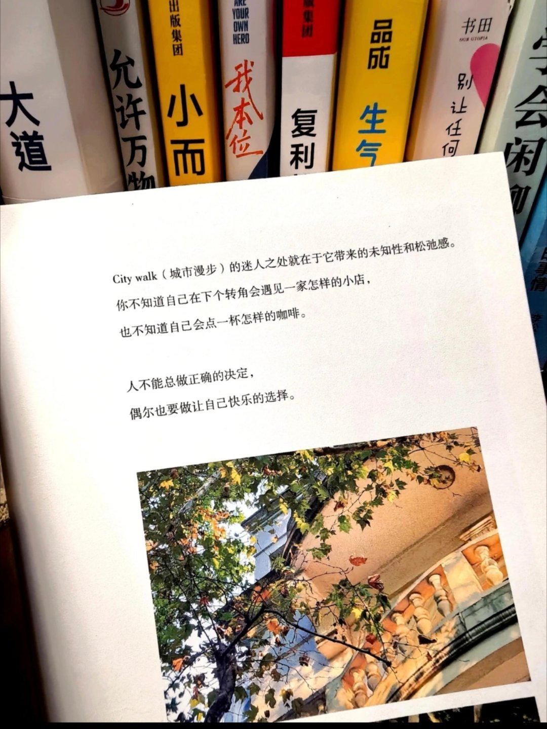 最近的焦虑都被这本书治愈了！ 