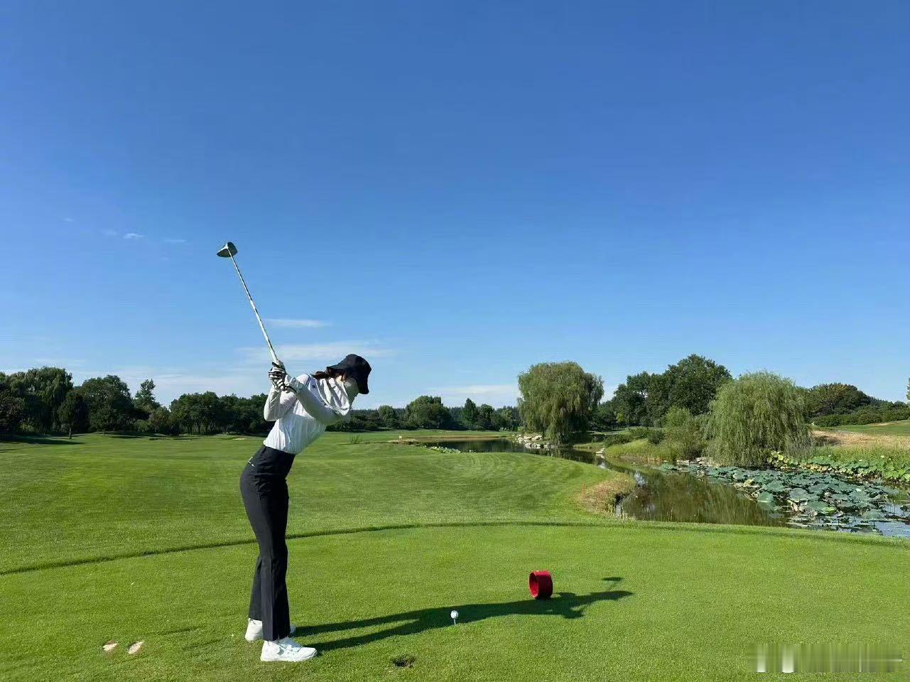 张佳宁也太有亲切感了，妥妥的互联网闺蜜本蜜！日常分享美食、健身，和狗狗贴贴的画面