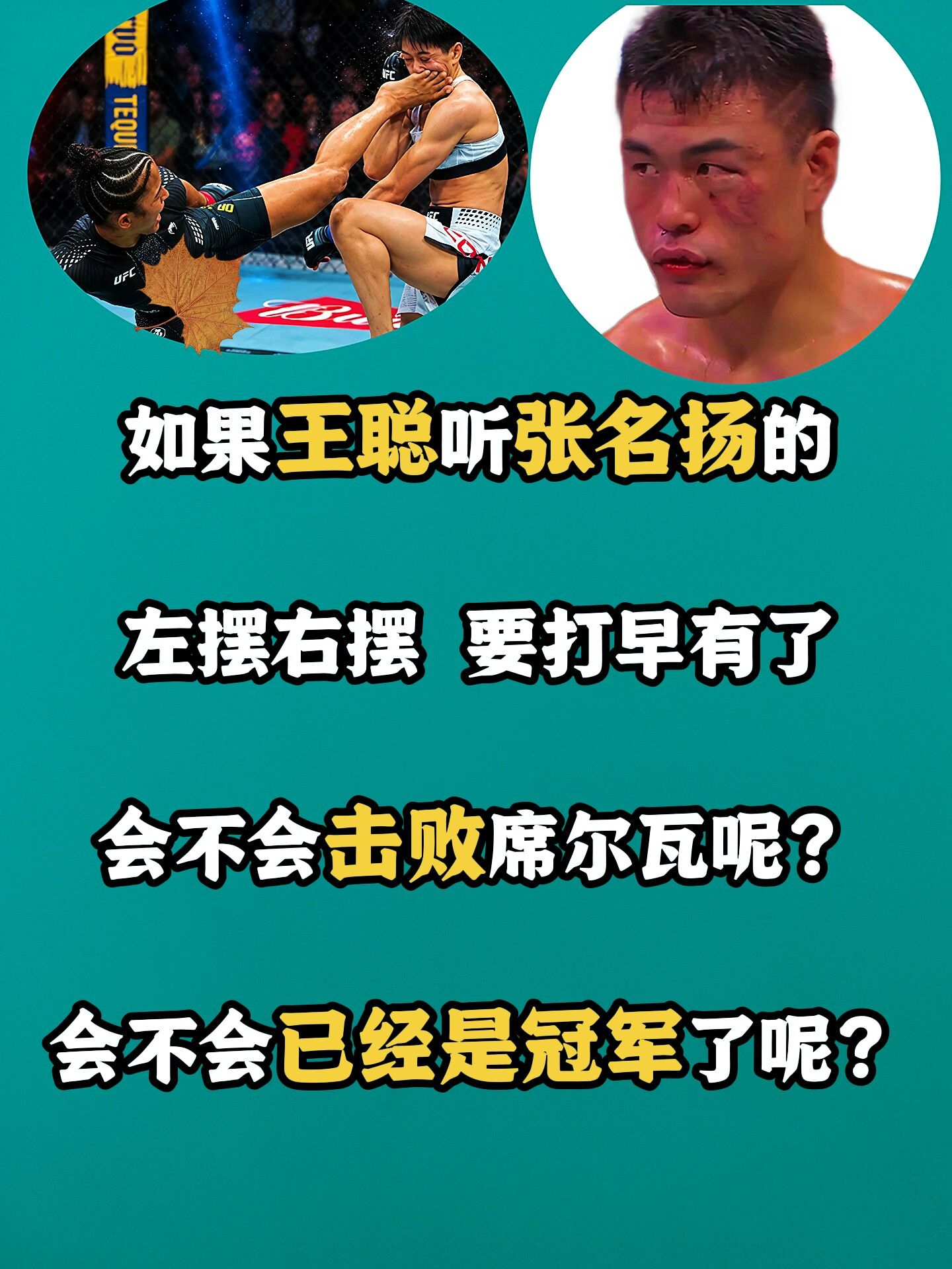 张名扬 席尔瓦 王聪 ufc