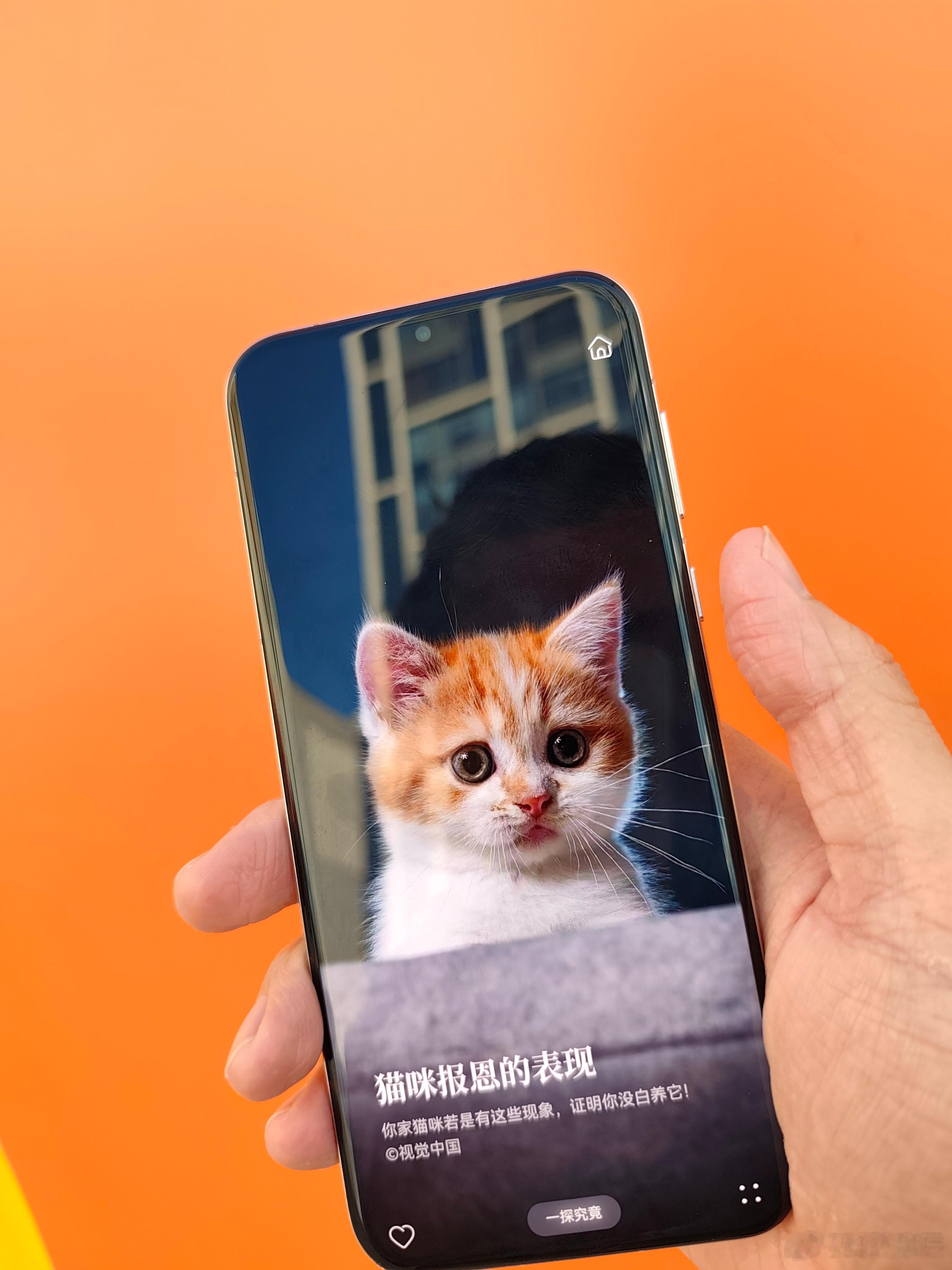 Pura70 Pro的麒麟 9010 搭配鸿蒙 4.2，再加上北斗卫星消息，这两