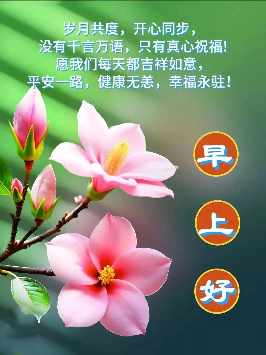 选择善良，真的不是为了回报。做人善良为本，心安至上，善良从来不是软弱。
我有个朋