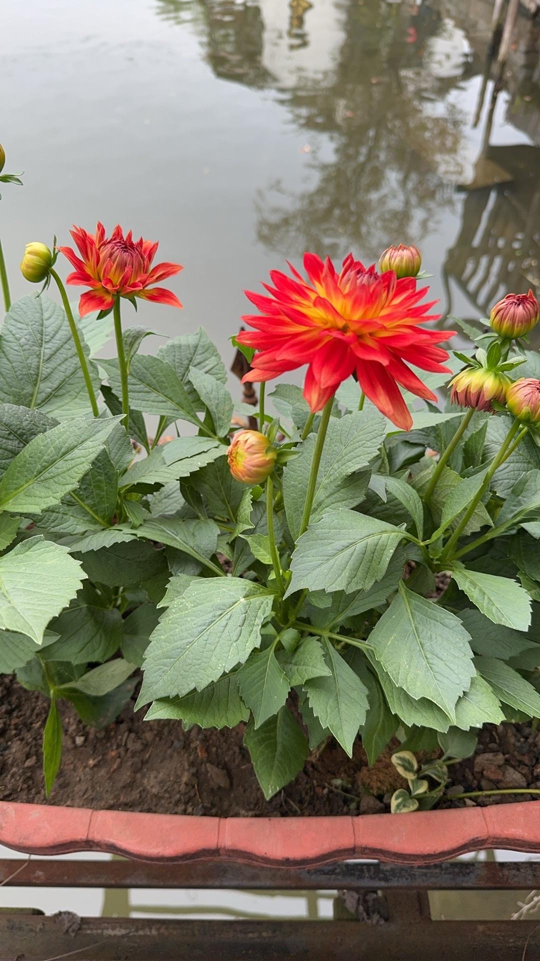 一句话记录冬日心情