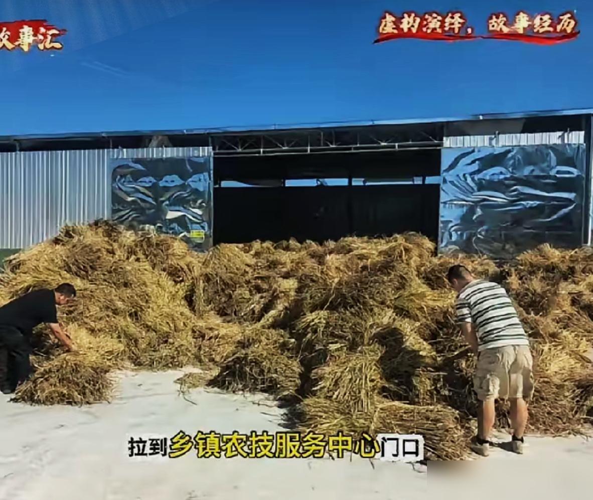 秋收地里不冒烟，

回收价格突然反转，

究竟谁能赚到钱。

以前秋天割完稻子最