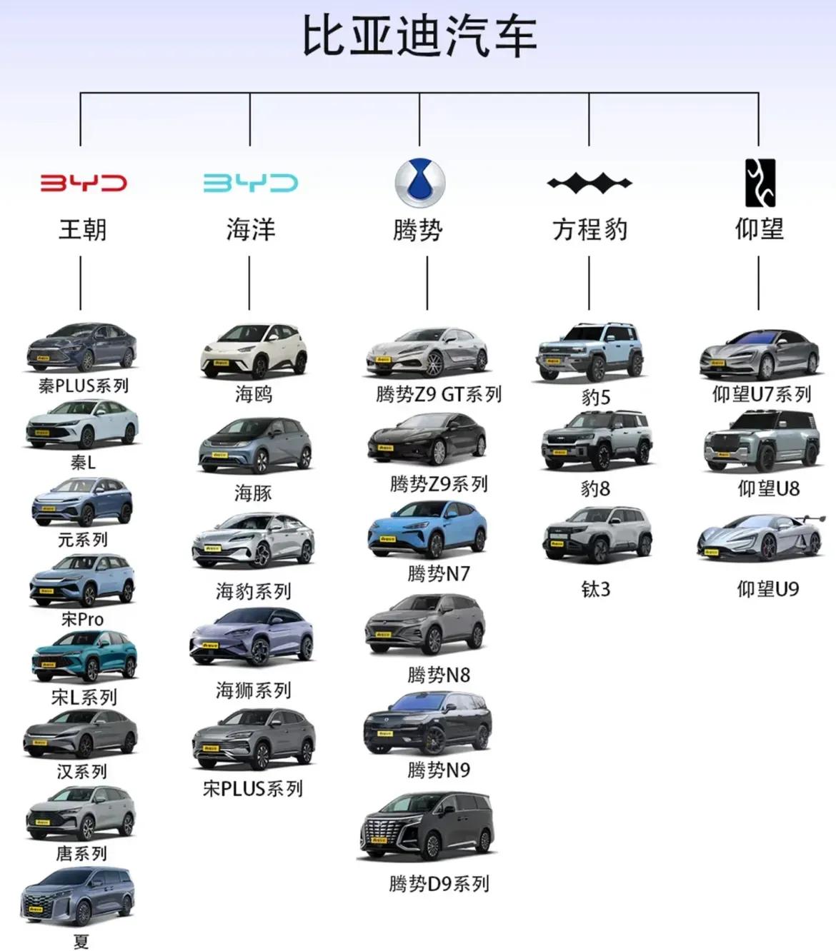 我是怎么也看不懂，王传福造了上百款车，雷军只造了一款，想不到比亚迪的市值还不如小