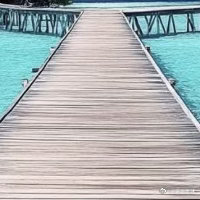 阳光信用  善是一种自然的流露，没有一点造作，没有一点企求，像水一样一往无前地流