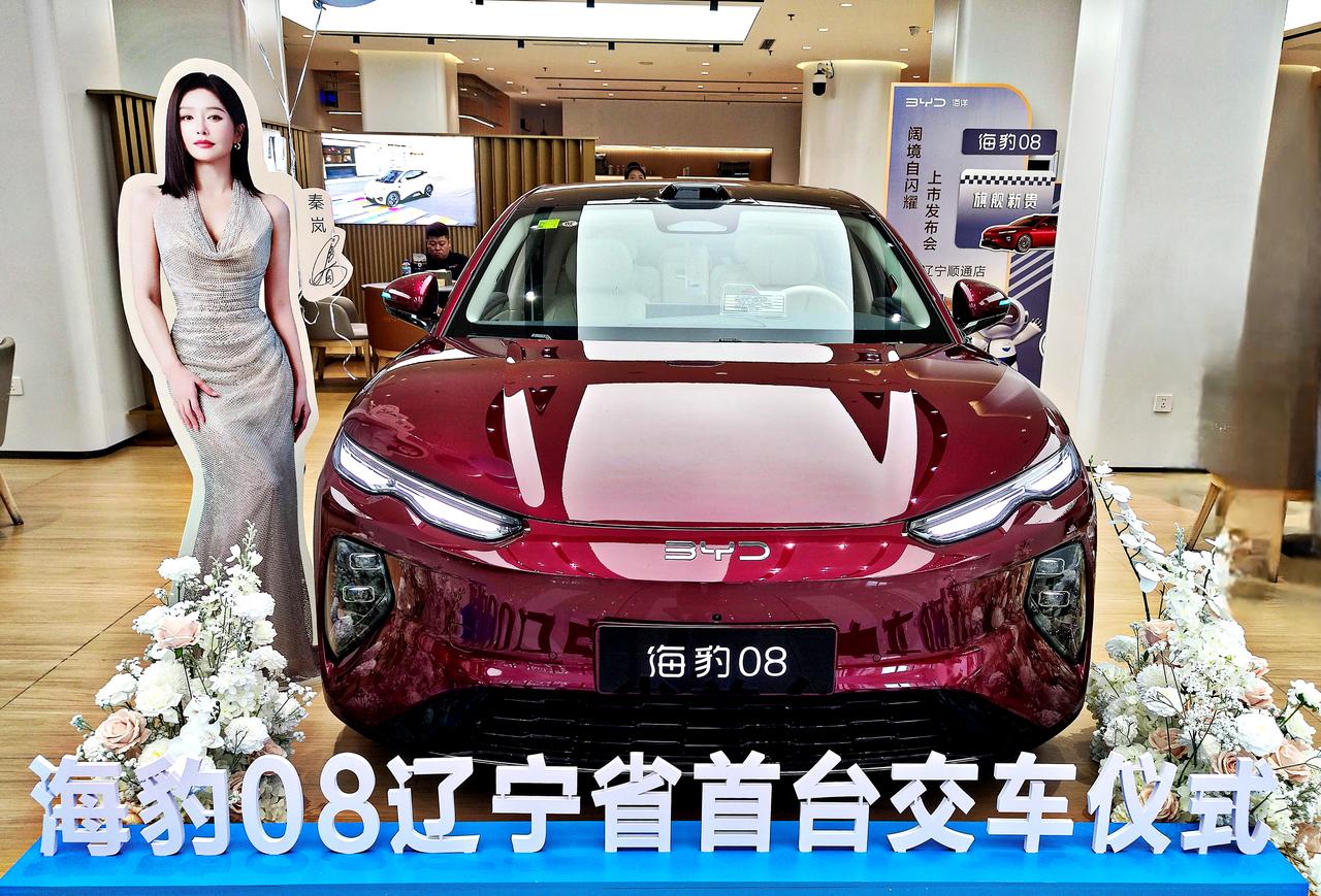 比亚迪旗舰新贵《海豹08》
    2026年7月2日，比亚迪海洋网中大型旗舰轿