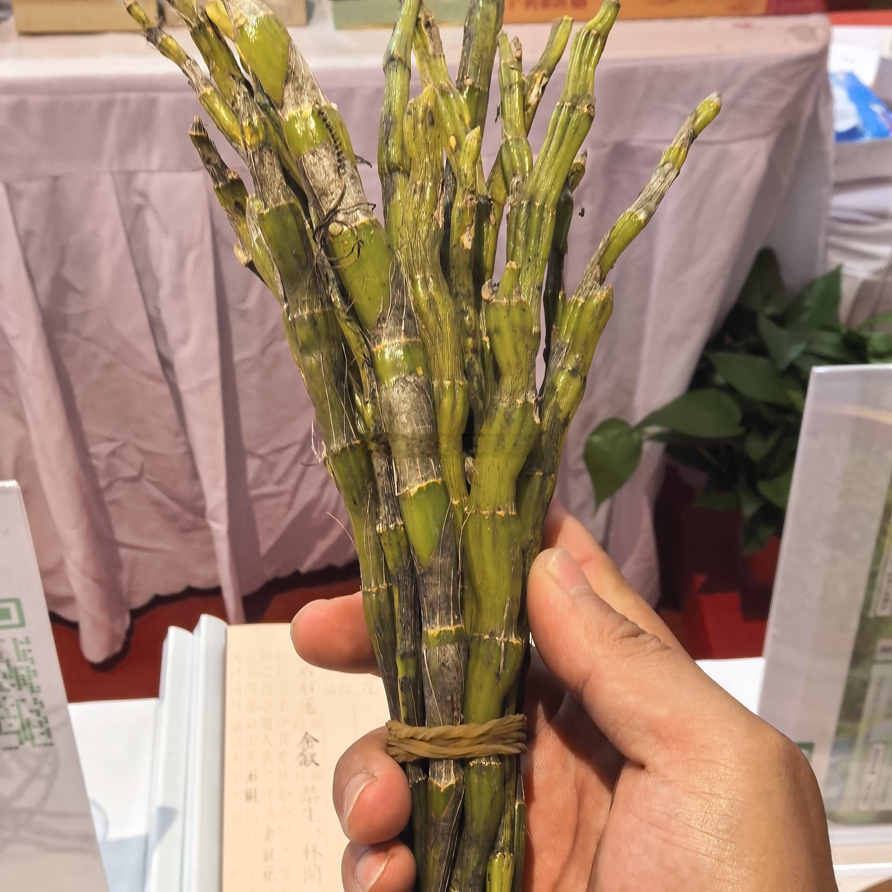 药交会逛一下看到的一些相对有趣的好玩意儿。图一铁皮石斛和金钗石斛对比图二金钗石斛