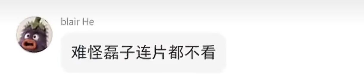 丞磊粉丝依旧是这些下流的手段，播前必埋剧，剧播期间完全不在乎整个剧组的心血，在群