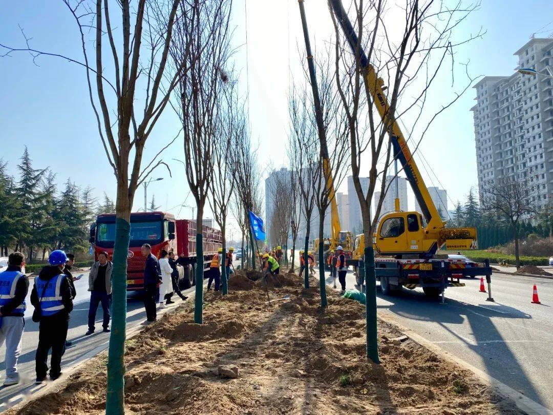 投资近2亿！太原市马练营路（武洛街-迎宾西街）绿化提升项目即将启动

项目位于科