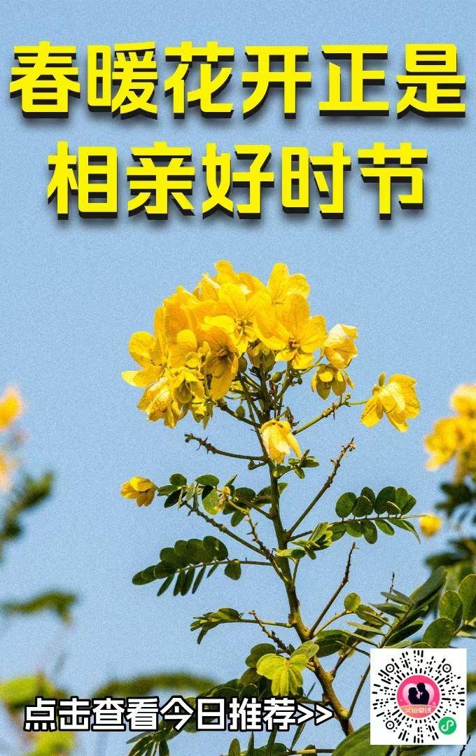 春暖花开，正是相亲好时节！🌸💕