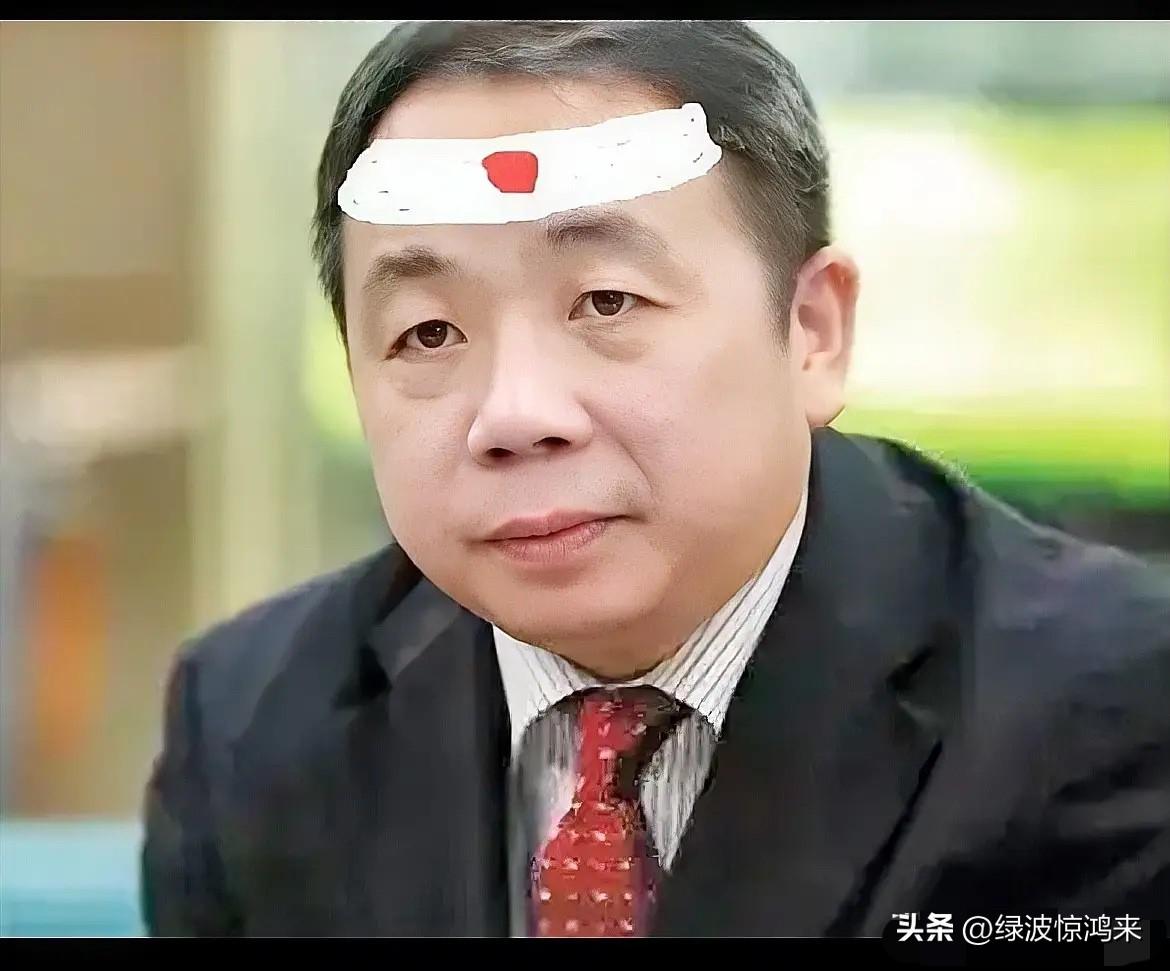 石平太郎数典忘祖有预兆！

从面相上来看，已完全一副岛国人模样，眼型细长，嘴唇较