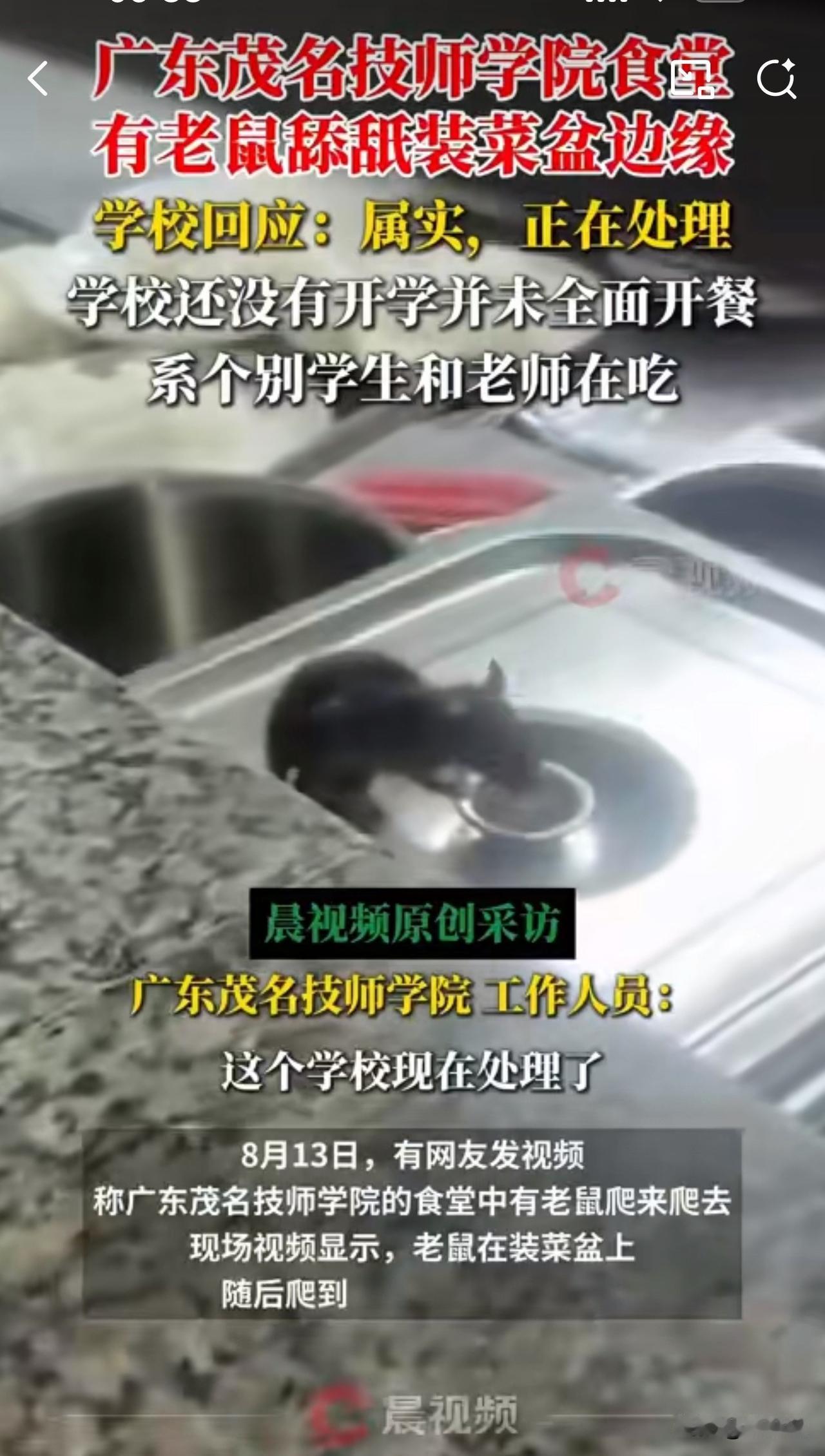 #MCN双量进阶计划#惊心！广东一学校食堂被曝有老鼠舔餐盘，校方证实并着手处理。