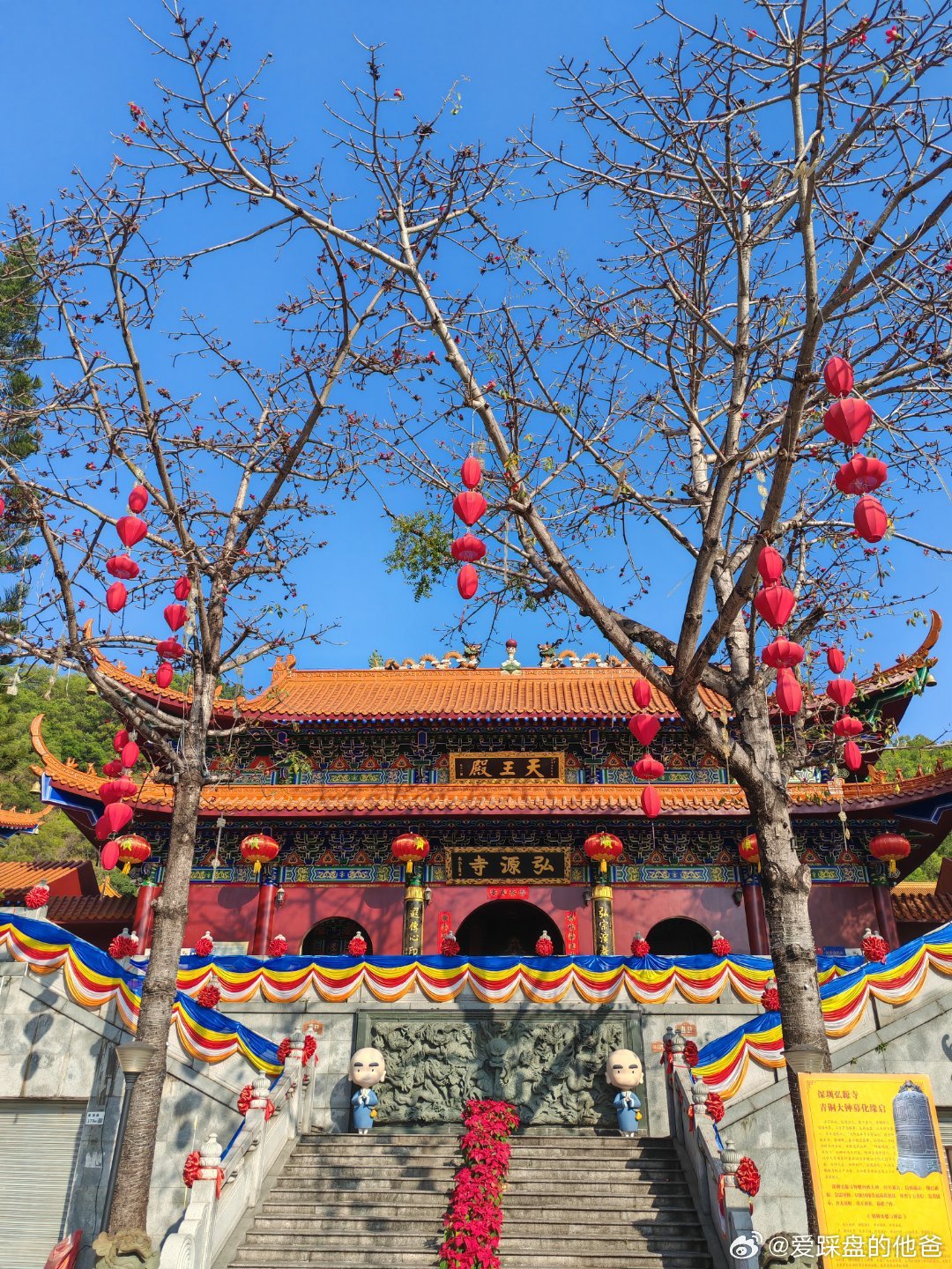 早上好，太美了！ 深圳·弘源寺