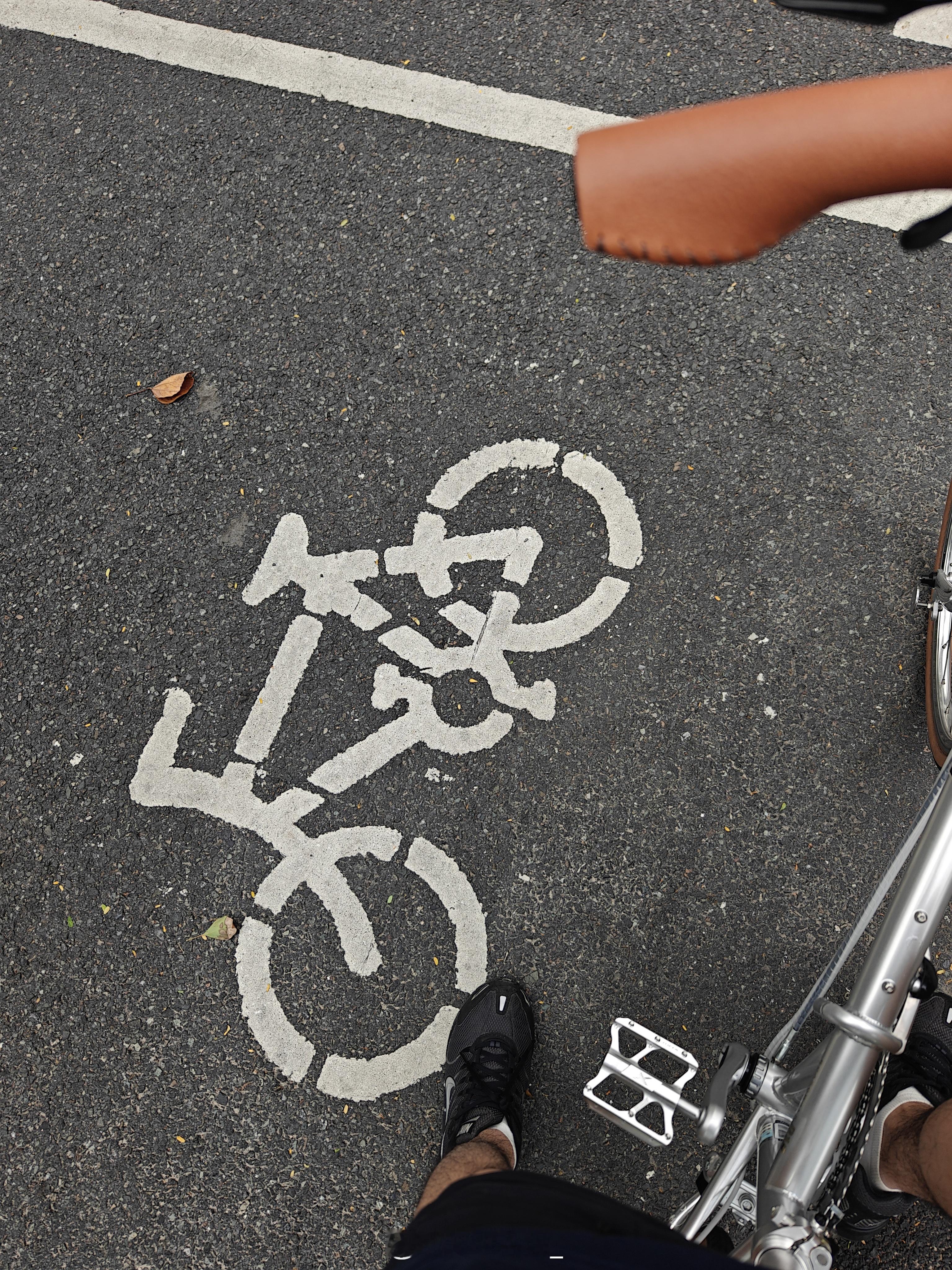 早！今天目标20km！十一月，广东依旧可以早起短袖短裤[允悲] ​​​