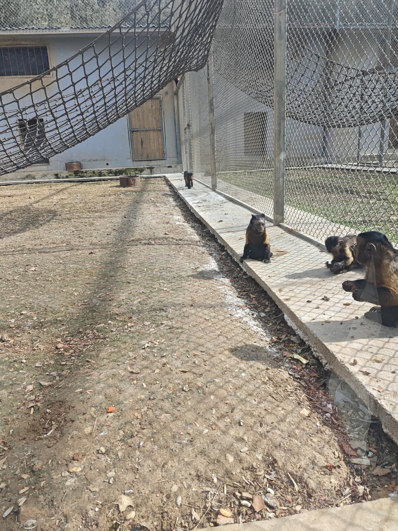 如果不缺钱，你还会工作吗可能不会，有孩子肯定多陪陪孩子，带父母出去走走自己一个人