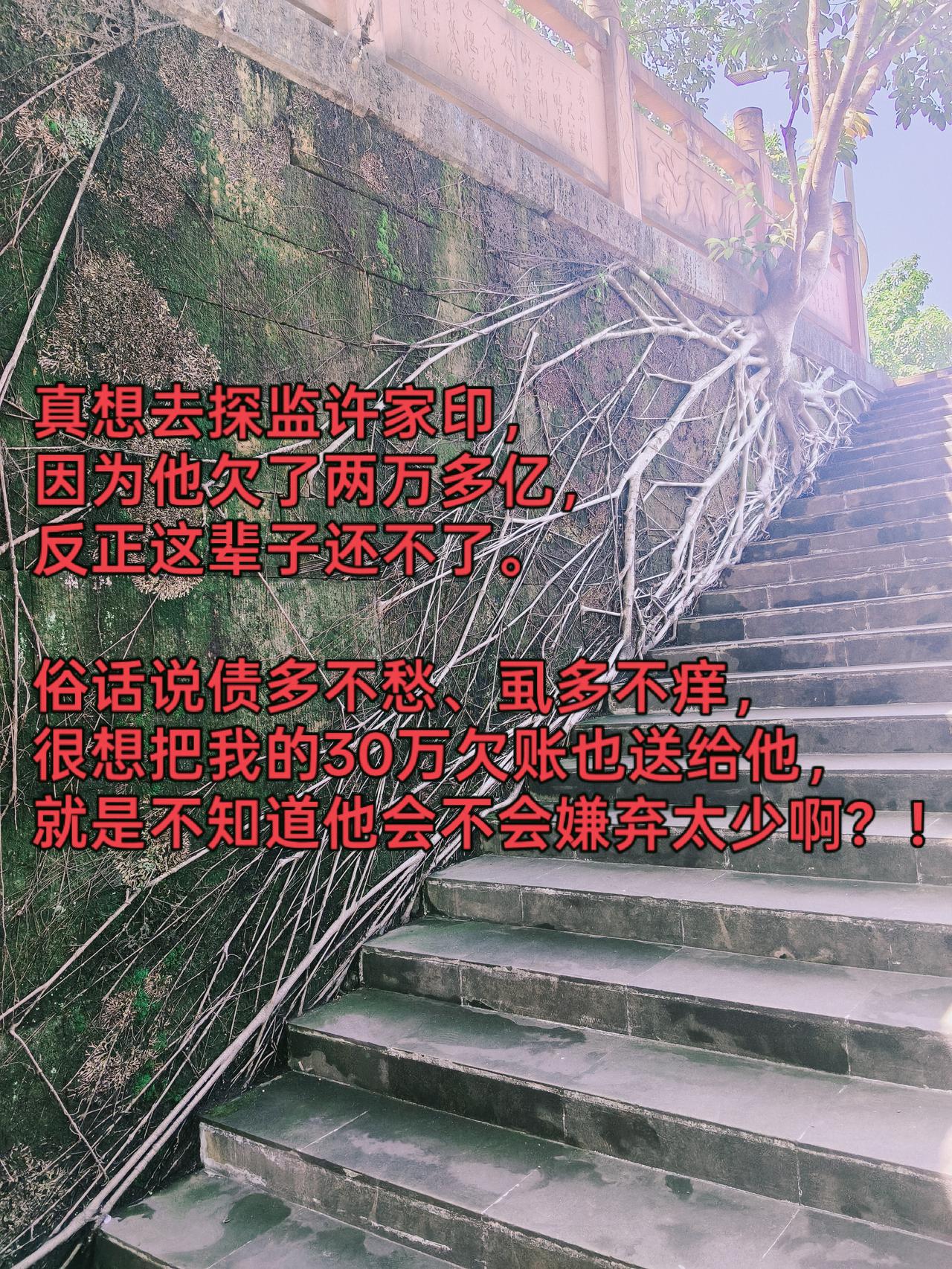 真想去探监许家印，
因为他欠了两万多亿，
反正这辈子还不了。

俗话说债多不愁、