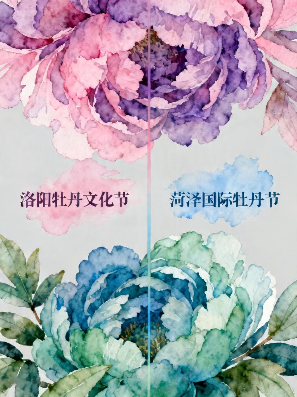 洛阳的是洛阳牡丹文化节，菏泽的是菏泽国际牡丹节。从这两个花会性质来看就不在一个档