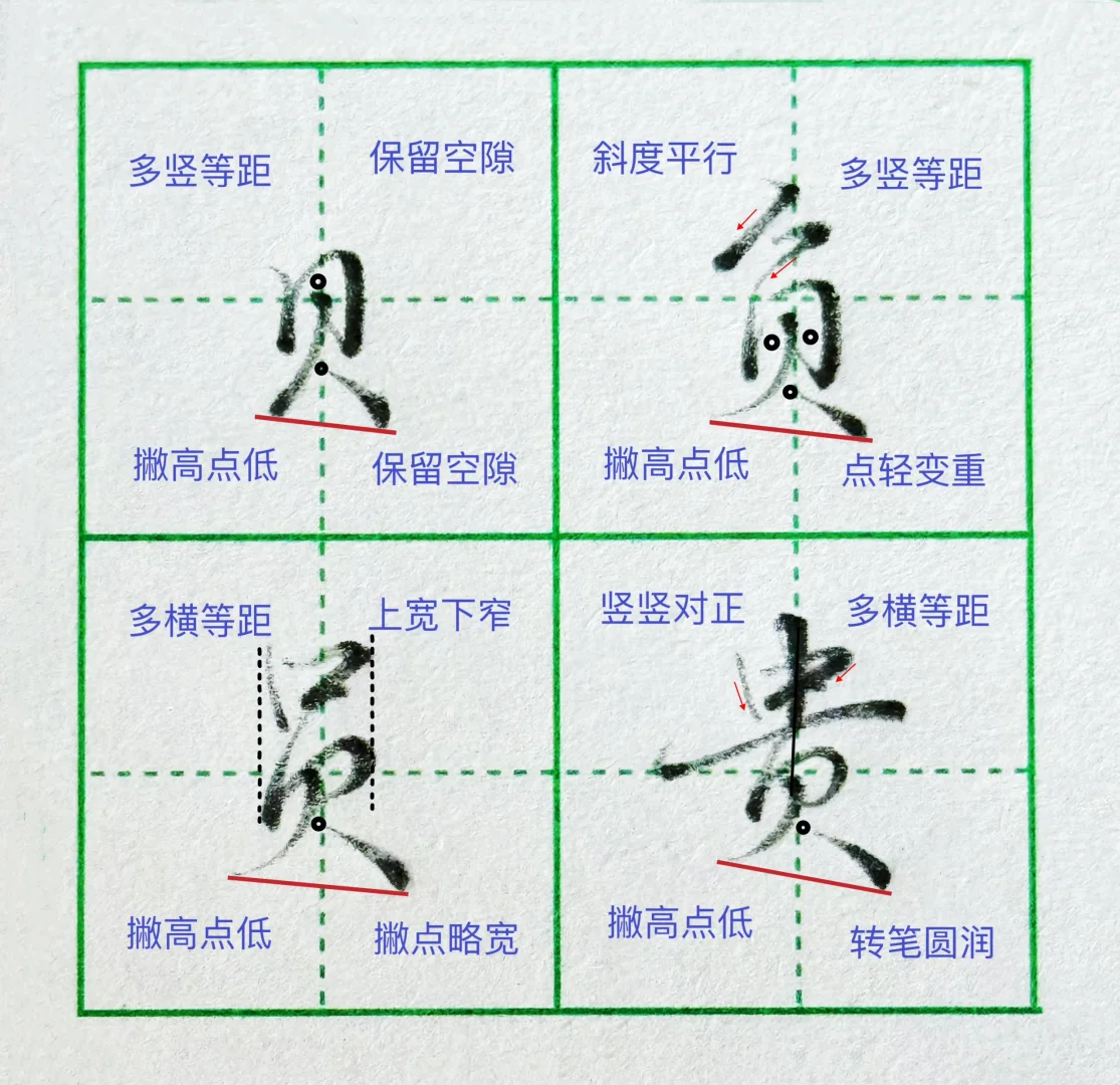 偏旁部首：贝字底‼️