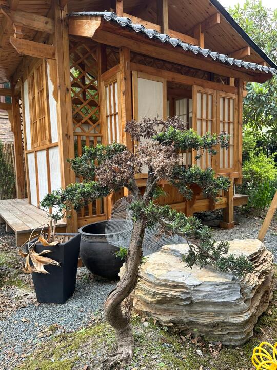 帮忙看下这几棵 还能活吗？