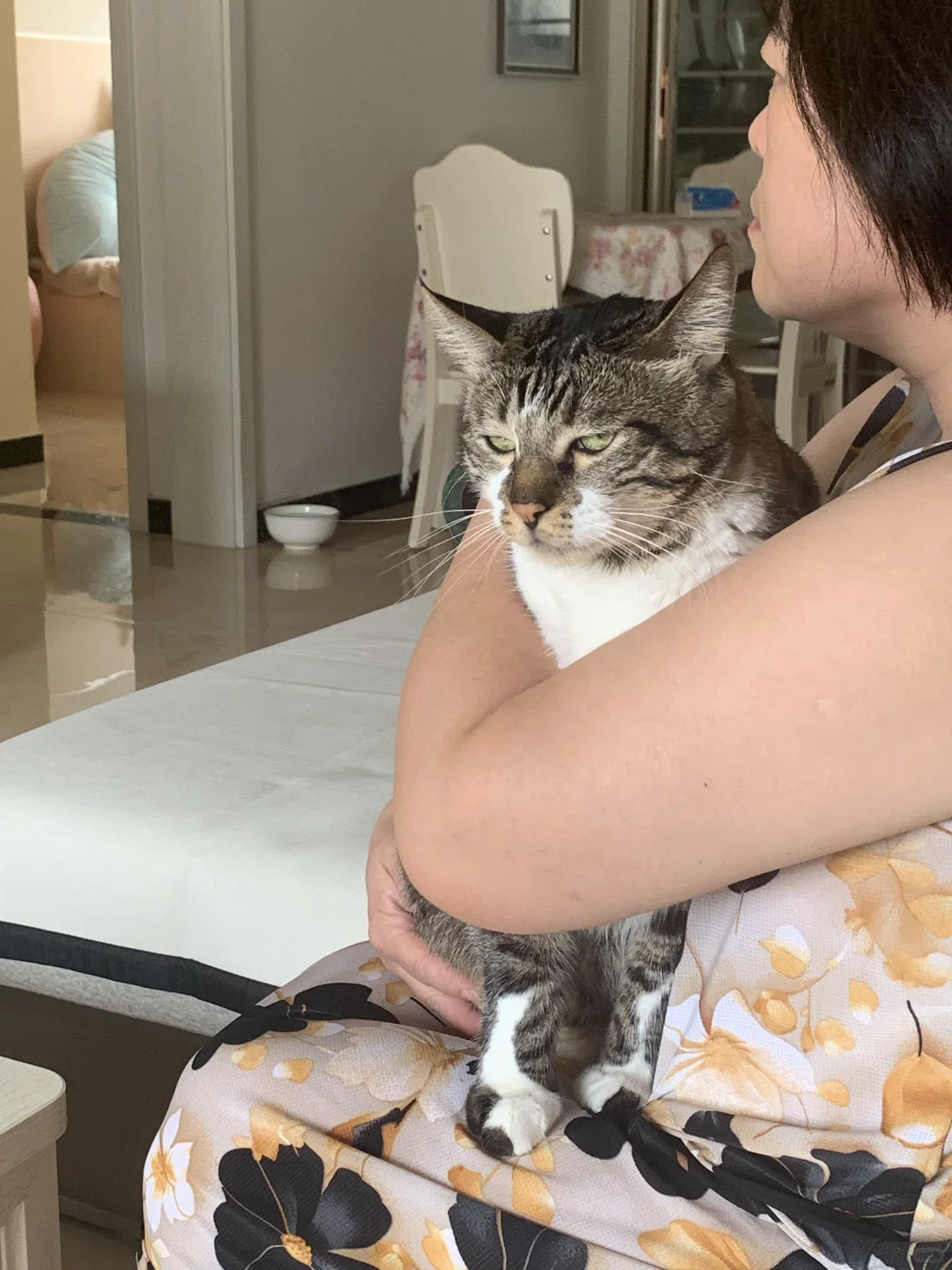 我感觉它在我妈怀里斜楞我