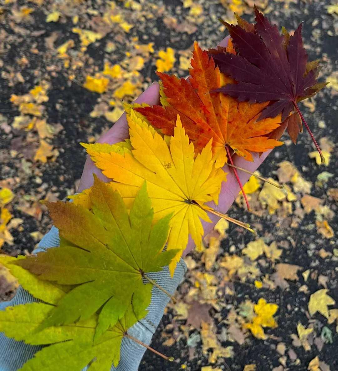 所谓奇迹，不过是永不放弃的另一个名字；所谓突破，从来都藏在“再拼一把”的坚持里。