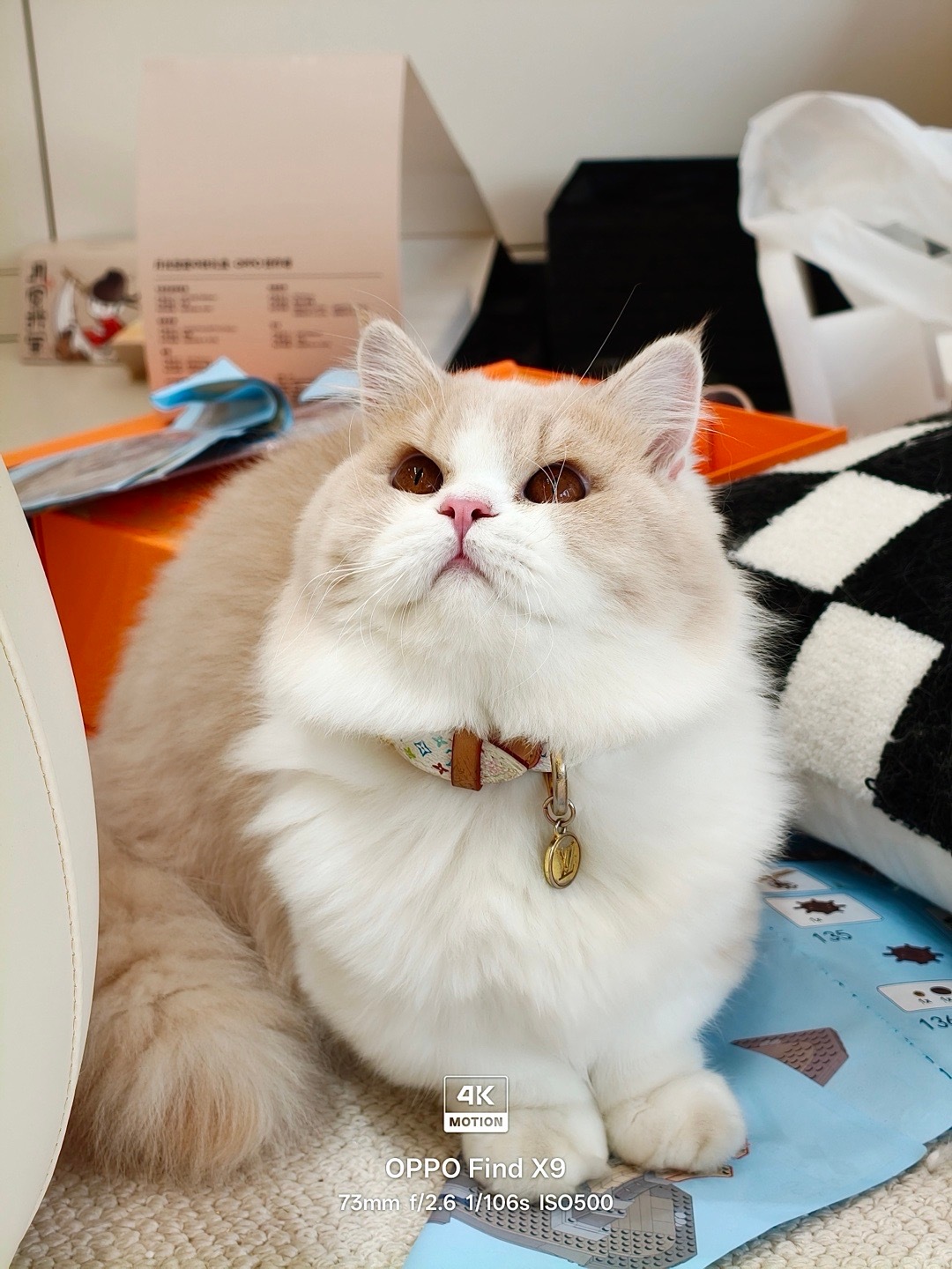 有些live只能拍到一次！被OPPO Find X9的4K Live实况狠狠拿捏